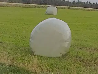 Øko Warp Baller 