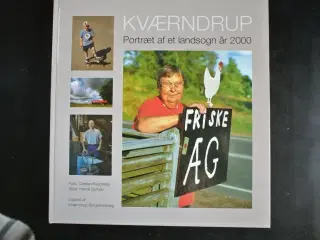 kværndrup portræt af et landsogn år 2000, af henri