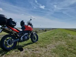 Pegaso 660 strada nysynet