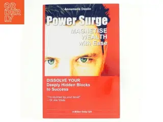 Power surge : how to magnetise wealth with ease af Annemarie Doolin (Bog)