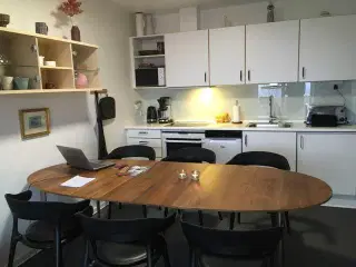 køkkenbord med kogeplade, indbygningsovn og vask
