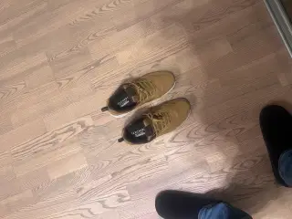 Sketchers sko