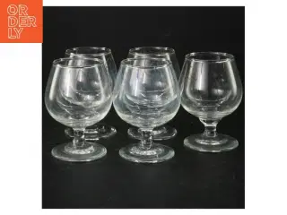 Cognacglas (5 stk) (str. H 9 cm)