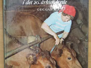 Landbokvinden i det 20.århundrede