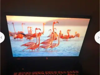 Acer nitro v16 
