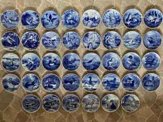 Tove Svendsen jagtplatter