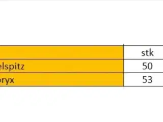 Projektiler 9,3mm (.366)