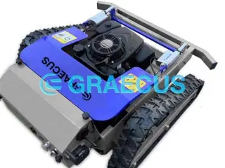 Graecus RSC55 RSC55