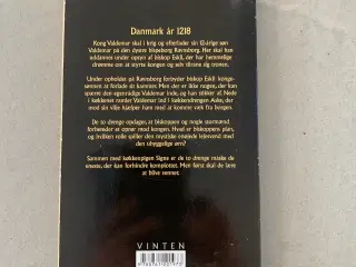 Ørnens øje
