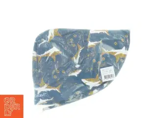 CeLaVi hat (str. 50 )