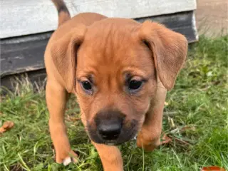 FamilyGuardianMix - Love bombs 🩶💣