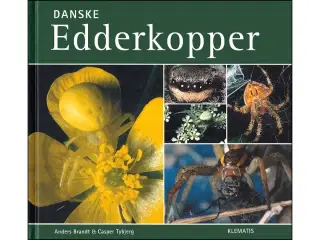 Dansk Edderkopper