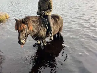 Nem ridelig vallak