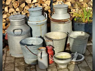 Mælkejunge "Zink" 