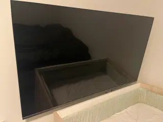 Philips 65 tommer, med garanti endnu