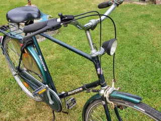 Pointer Herre cykel 