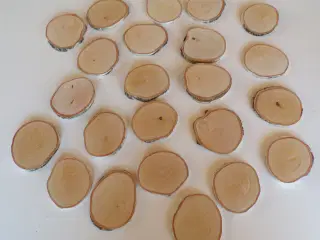 Birketræsskiver til mange formål 7 - 7,5 cm