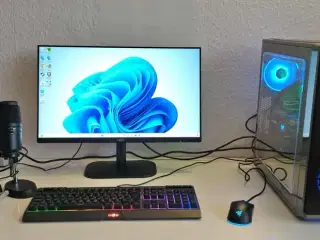 Stationær PC (Gaming Rig - Ryzen 5, 16GB RAM)