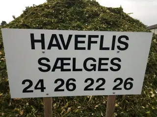 Haveflis