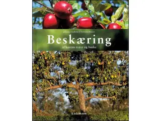 Beskæring af havens træer og buske