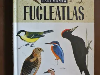 lademanns fugleatlas, af hans skotte møller, emne: