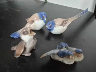 Kongelige/ Bing og grøndahl  fugle