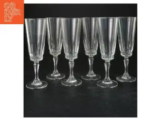 Champagneglas sæt af 6 (str. 18x6 cm)