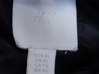Dynevest