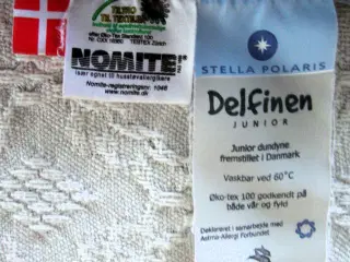 Juniordyne, Stella Polaris Delfinen