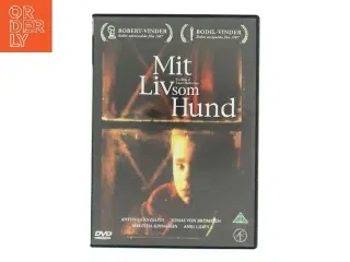 Mit liv som hund med Anton Glanzelius (DVD)