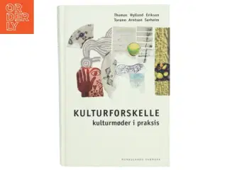 Kulturforskelle : kulturmøder i praksis (Bog)