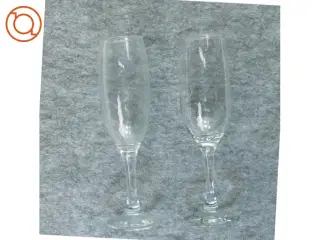Champagne glas (str. 21 x 5 cm)