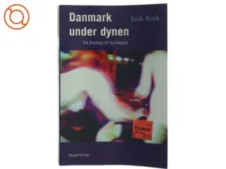 Danmark under dynen : fra bryllup til bunkepul af Erik Bork (f. 1973) (Bog)