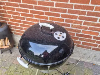Weber grill stor model