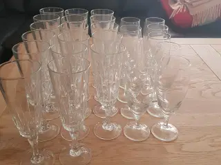 Champagneglas 27 stk 