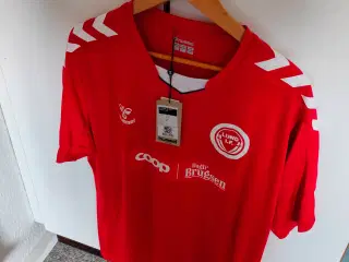 T shirts xl