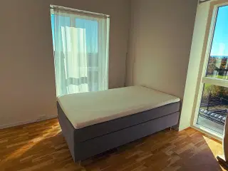 Kontinentalseng Høie C250 – 120x200 cm, grå