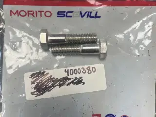 Quicksilver screw (M10 x 45)