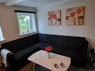 Hjørnesofa + sofabord