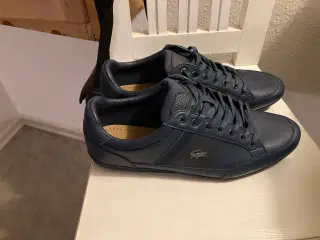 Lacoste sko ny