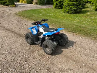 Polaris crosser, 50cc