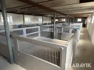 Staldinventar Ikadan