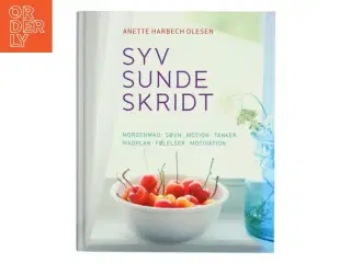 Sund og i balance med syv sunde skridt af Anette Harbech Olesen (Bog)