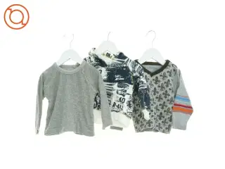 Sweatshirt (3 stk.) (str. 74 cm)