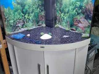 Hjørne akvarier 190L 