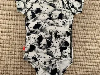 Molo - body