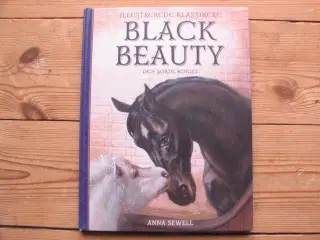 Black Beauty-Den sorte Hingst