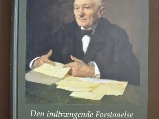 den indtrængende forstaaelse - johannes steenstrup