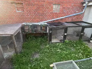 Stort kaninbur udendørs