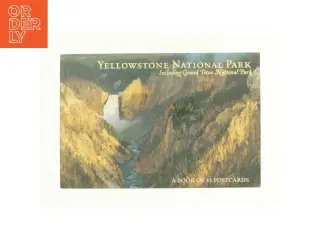 Yellowstone National Park including grand teto National Park (bog)